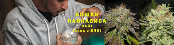 PSILOCYBIN Алзамай