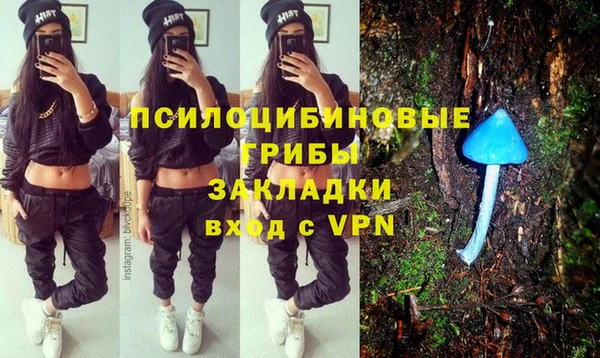 мескалин Алексин