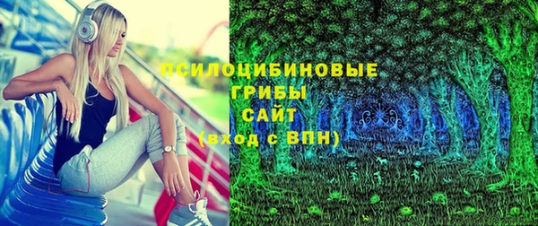 PSILOCYBIN Алзамай