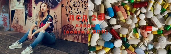 PSILOCYBIN Алзамай