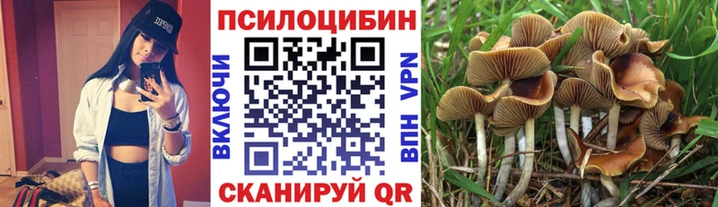 наркотики  Ачинск  Псилоцибиновые грибы Cubensis 